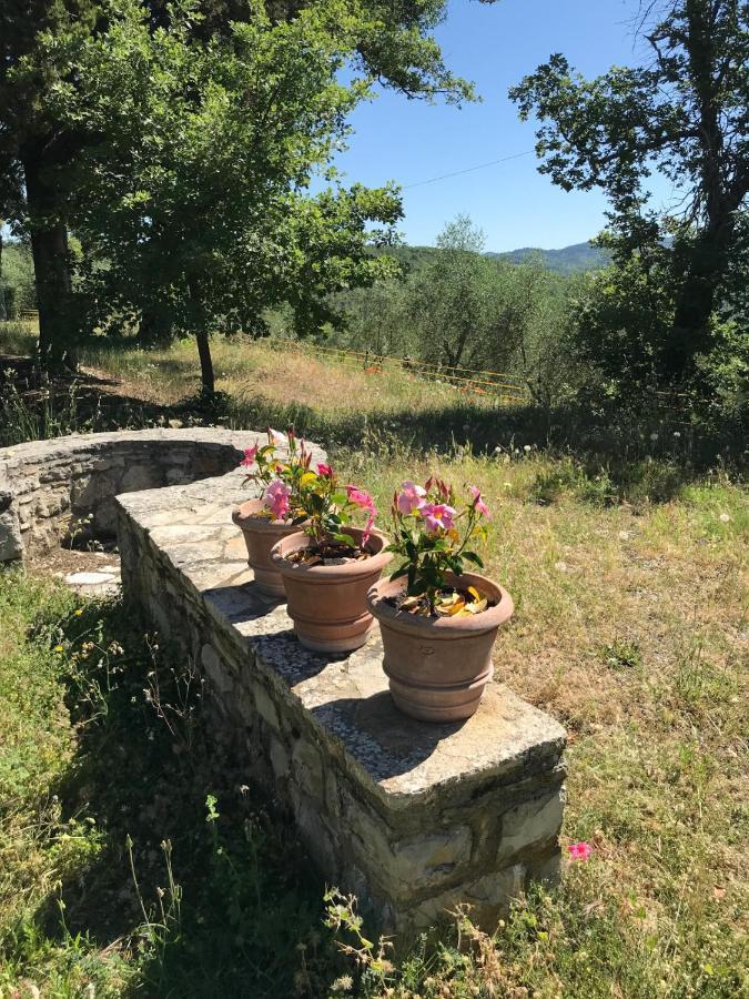 Willa Casanova Di Ricavo Gaiole in Chianti Zewnętrze zdjęcie