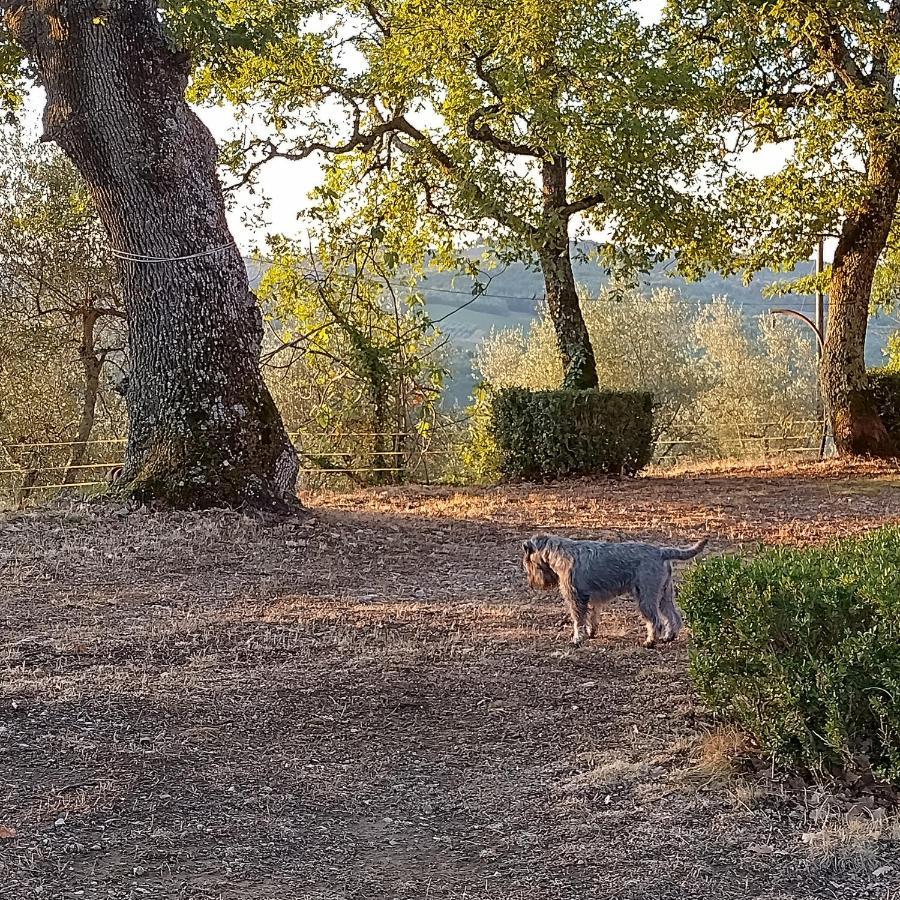 Willa Casanova Di Ricavo Gaiole in Chianti Zewnętrze zdjęcie