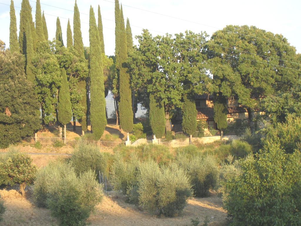 Willa Casanova Di Ricavo Gaiole in Chianti Zewnętrze zdjęcie